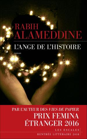 Cover of the book L'Ange de l'histoire by Leslie Hinder