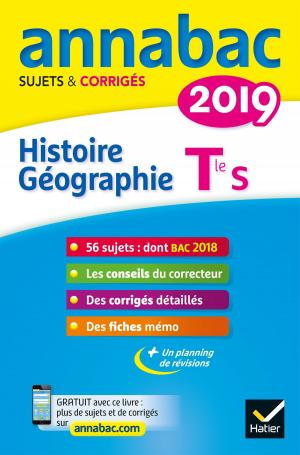 Cover of the book Annales Annabac 2019 Histoire-Géographie Tle S by Florence Holstein, Géraldine Demagny, Gérard Pointereau, Claire Ravez, Frédéric Viénot, Nathalie Renault