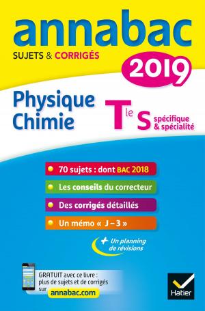 Cover of the book Annales Annabac 2019 Physique-chimie Tle S by Laurence Chafaa, Elodie Foussard, Estelle Zuliani, Romain Zuliani, Micheline Cellier, Roland Charnay, Michel Mante