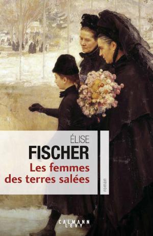 Cover of the book Les Femmes des terres salées by Jean-Philippe Bouchard