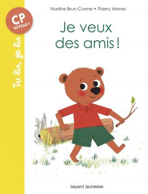 Book cover of Je veux des amis !