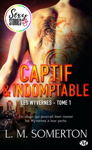 Cover of the book Captif et indomptable - Sexy Stories by Ker Dukey