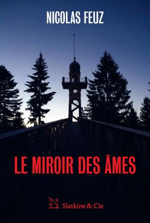 Cover of the book Le Miroir des âmes by Rob Cornell