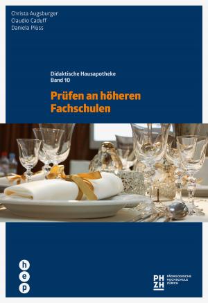 Cover of the book Prüfen an höheren Fachschulen (E-Book) by Daniel Hunziker