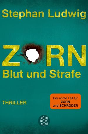 Cover of the book Zorn 8 - Blut und Strafe by Benni-Mama