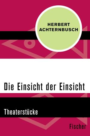 Cover of the book Die Einsicht der Einsicht by Dr. phil. Susanne Graf-Deserno, Prof. Dr. Heinrich Deserno