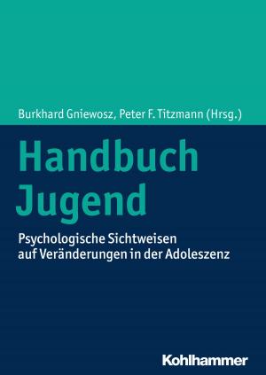 Cover of the book Handbuch Jugend by Frank M. Fischer, Christoph Möller, Oliver Bilke-Hentsch, Euphrosyne Gouzoulis-Mayfrank, Michael Klein