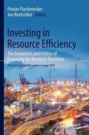 Cover of the book Investing in Resource Efficiency by Görschwin Fey, Mehdi Dehbashi