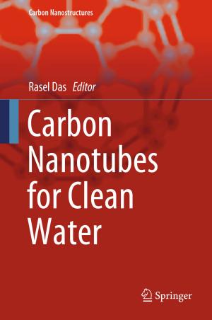 Cover of the book Carbon Nanotubes for Clean Water by Sebastian Engelmann, Ralf Koerrenz, Annika Blichmann