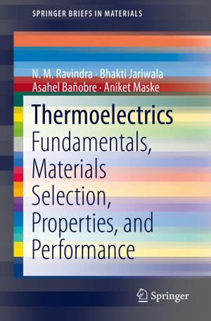 Cover of the book Thermoelectrics by Nadine Zipperle