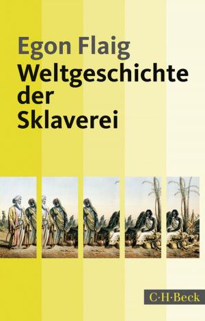 Book cover of Weltgeschichte der Sklaverei