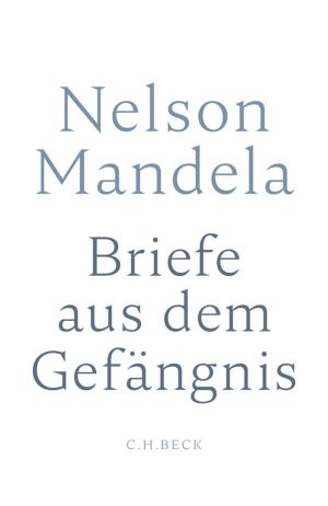 Cover of the book Briefe aus dem Gefängnis by Sybille Steinbacher