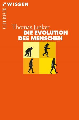 Cover of the book Die Evolution des Menschen by Werner Eck