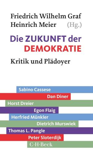 Book cover of Die Zukunft der Demokratie