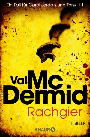 Cover of the book Rachgier by John Katzenbach
