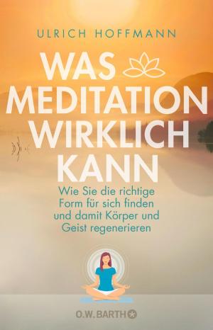 Cover of the book Was Meditation wirklich kann by Renate Seifarth