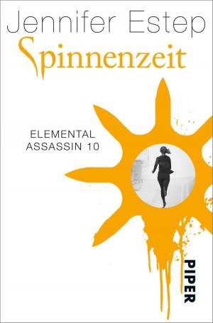 Cover of the book Spinnenzeit by Jennifer Estep