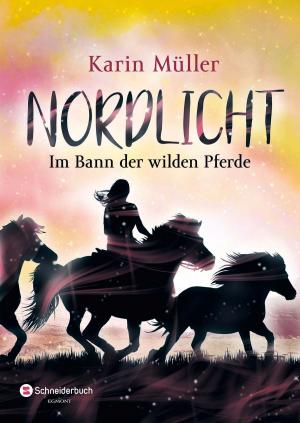 Cover of the book Nordlicht, Band 02 by Mo O'Hara
