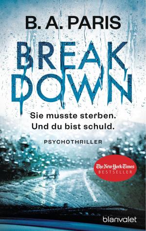 Book cover of Breakdown - Sie musste sterben. Und du bist schuld