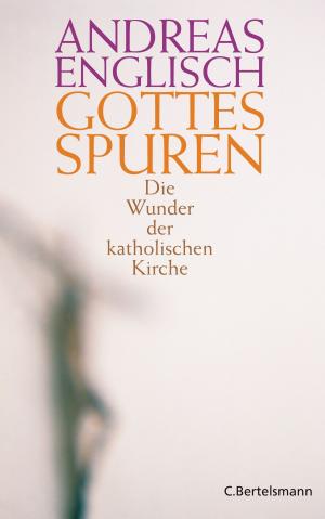 Cover of the book Gottes Spuren by Roberto Costantini