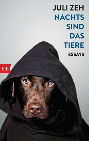 Cover of the book Nachts sind das Tiere by Noël Balen, Vanessa Barrot