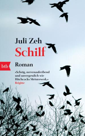 Cover of the book Schilf by Doug Johnstone