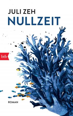Cover of the book Nullzeit by Hanns-Josef Ortheil