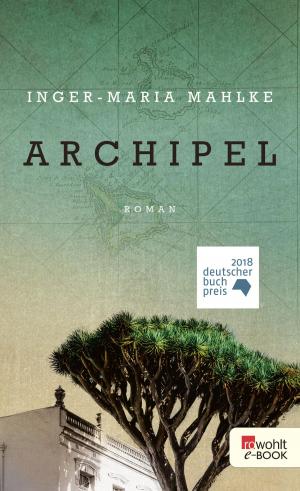Cover of the book Archipel by Wigald Boning