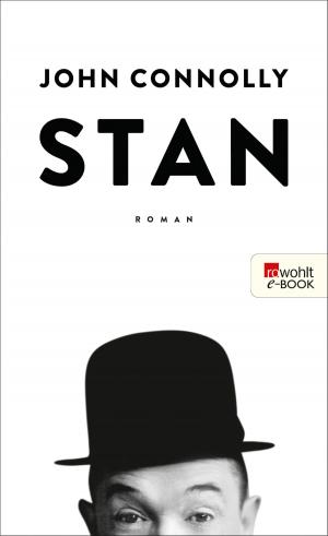 Cover of the book Stan by Ildikó von Kürthy