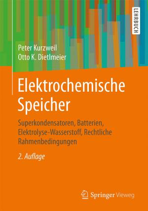 Book cover of Elektrochemische Speicher