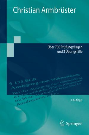 Cover of the book Examinatorium BGB AT by Xiaolin Wang, Limin Wang, Yan Wang