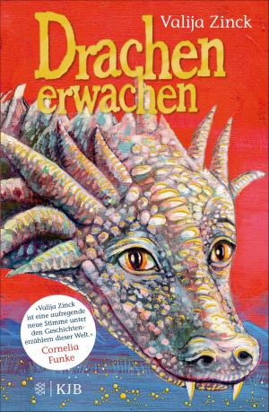 Cover of the book Drachenerwachen by Sara Barnard