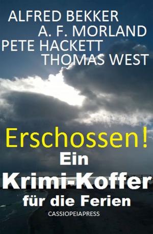 Book cover of Erschossen! Ein Krimi-Koffer für die Ferien