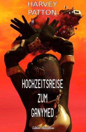 Cover of the book Hochzeitsreise zum Ganymed by Wolf G. Rahn