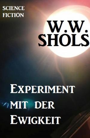 Book cover of Experiment mit der Ewigkeit