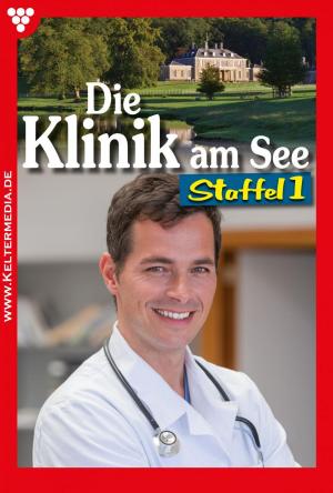 Cover of the book Die Klinik am See Staffel 1 – Arztroman by Frank Callahan