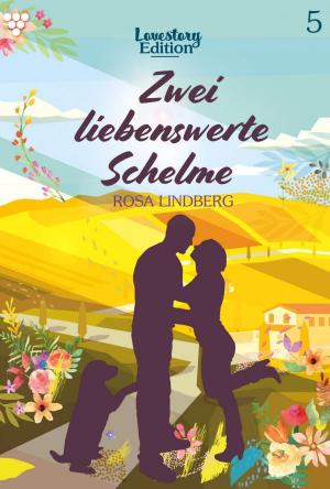 Cover of the book Lovestory Edition 5 – Liebesroman by Viola Maybach