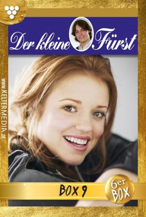 Cover of the book Der kleine Fürst Jubiläumsbox 9 – Adelsroman by G.F. Barner