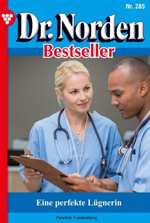 Cover of the book Dr. Norden Bestseller 285 – Arztroman by Christine von Bergen