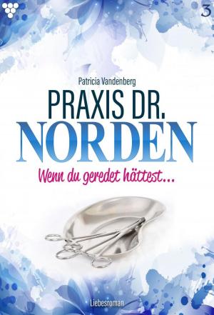 Cover of the book Praxis Dr. Norden 3 – Arztroman by Bettina von Weerth