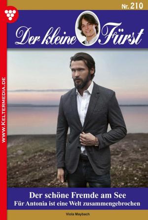 Cover of the book Der kleine Fürst 210 – Adelsroman by Bettina Clausen