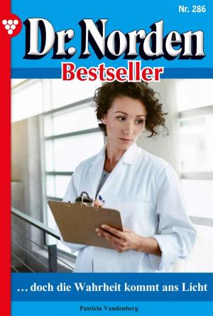 Cover of the book Dr. Norden Bestseller 286 – Arztroman by Patricia Vandenberg