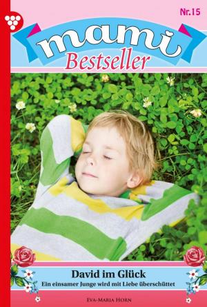 Cover of the book Mami Bestseller 15 – Familienroman by Aliza Korten