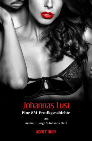 Cover of the book Johannas Lust by Katrin Kleebach
