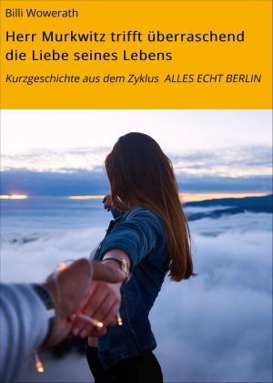 Cover of the book Herr Murkwitz trifft überraschend die Liebe seines Lebens by R. Temaro