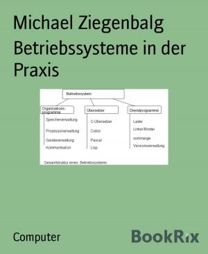 Cover of the book Betriebssysteme in der Praxis by Jürgen Reintjes