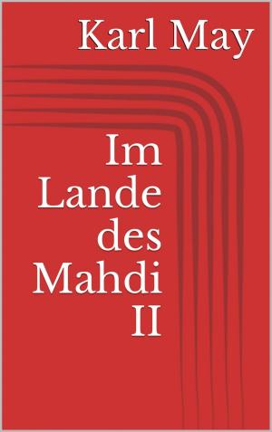 Cover of the book Im Lande des Mahdi II by Patrick Weinand