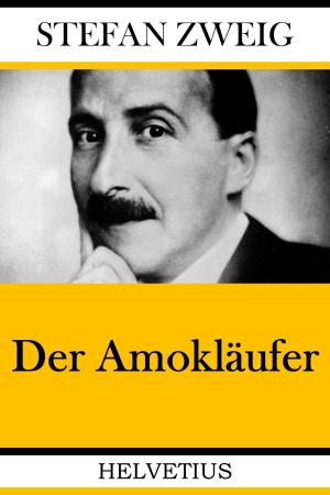 Cover of the book Der Amokläufer by Barbara Aichinger
