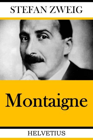 Cover of the book Montaigne by Bernd Michael Grosch