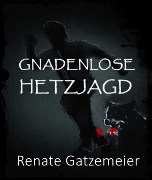 Cover of the book Gnadenlose Hetzjagd by Lars Günther